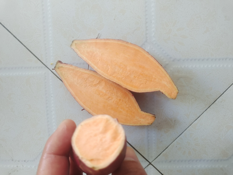 重庆潼南出货的西瓜红蜜薯，黄心