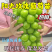 阳光玫瑰葡萄苗品质保证基地直发【可签订合同】