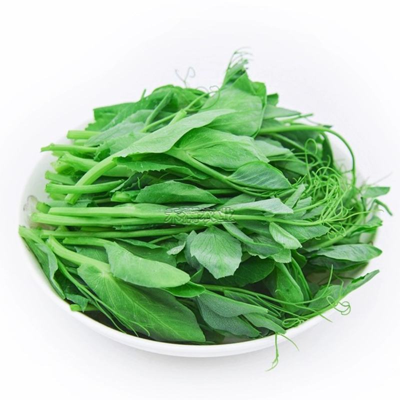 胖豆尖豌豆苗种子秋冬种豌豆尖种子1斤装超好吃豌豆种子