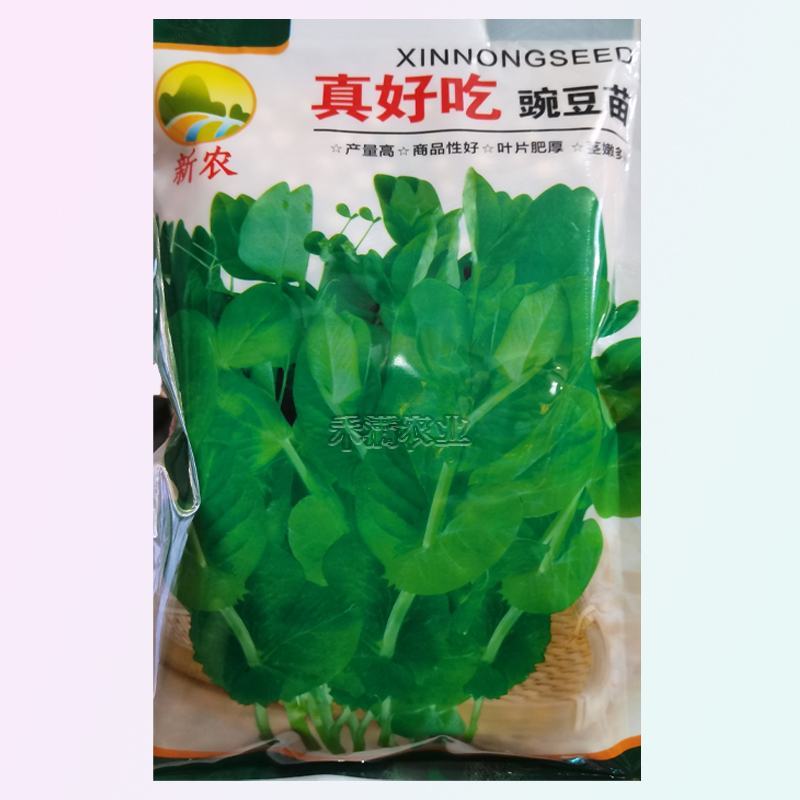 胖豆尖豌豆苗种子秋冬种豌豆尖种子1斤装超好吃豌豆种子