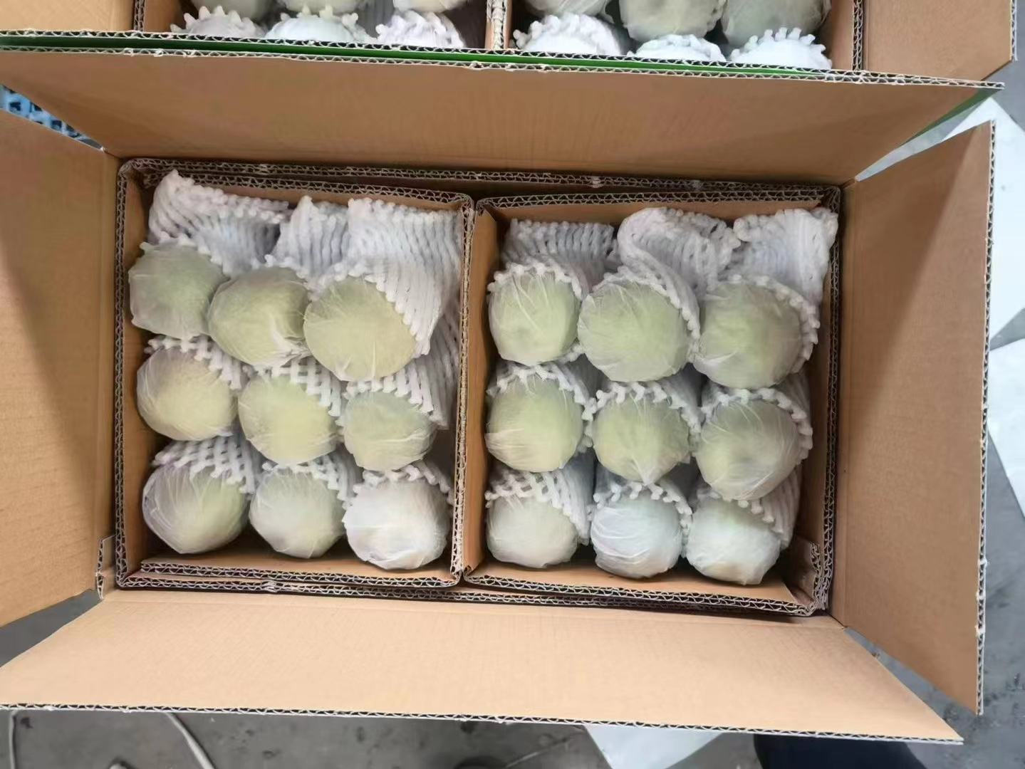 库尔勒香梨切面细节图