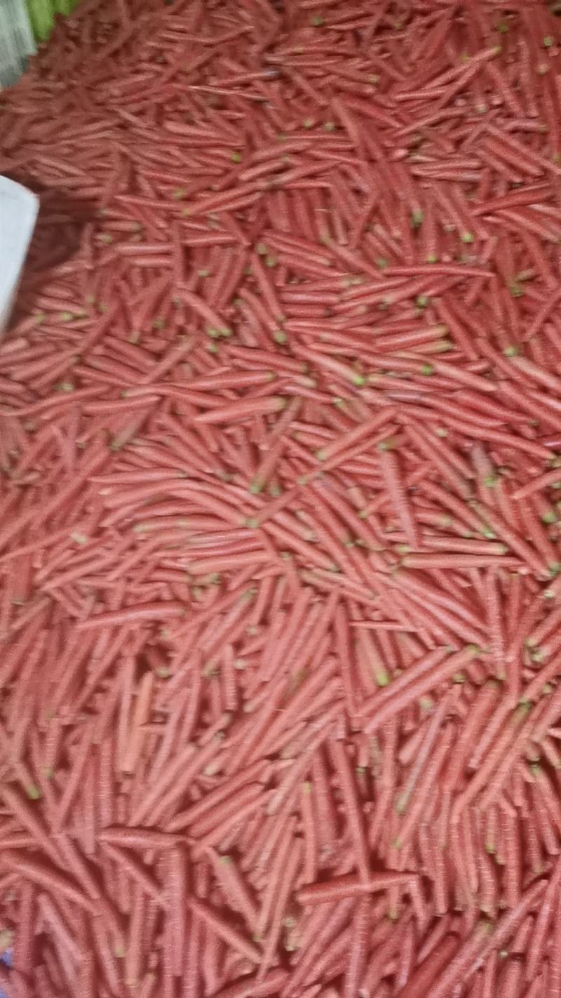 胡萝卜，三红胡萝卜