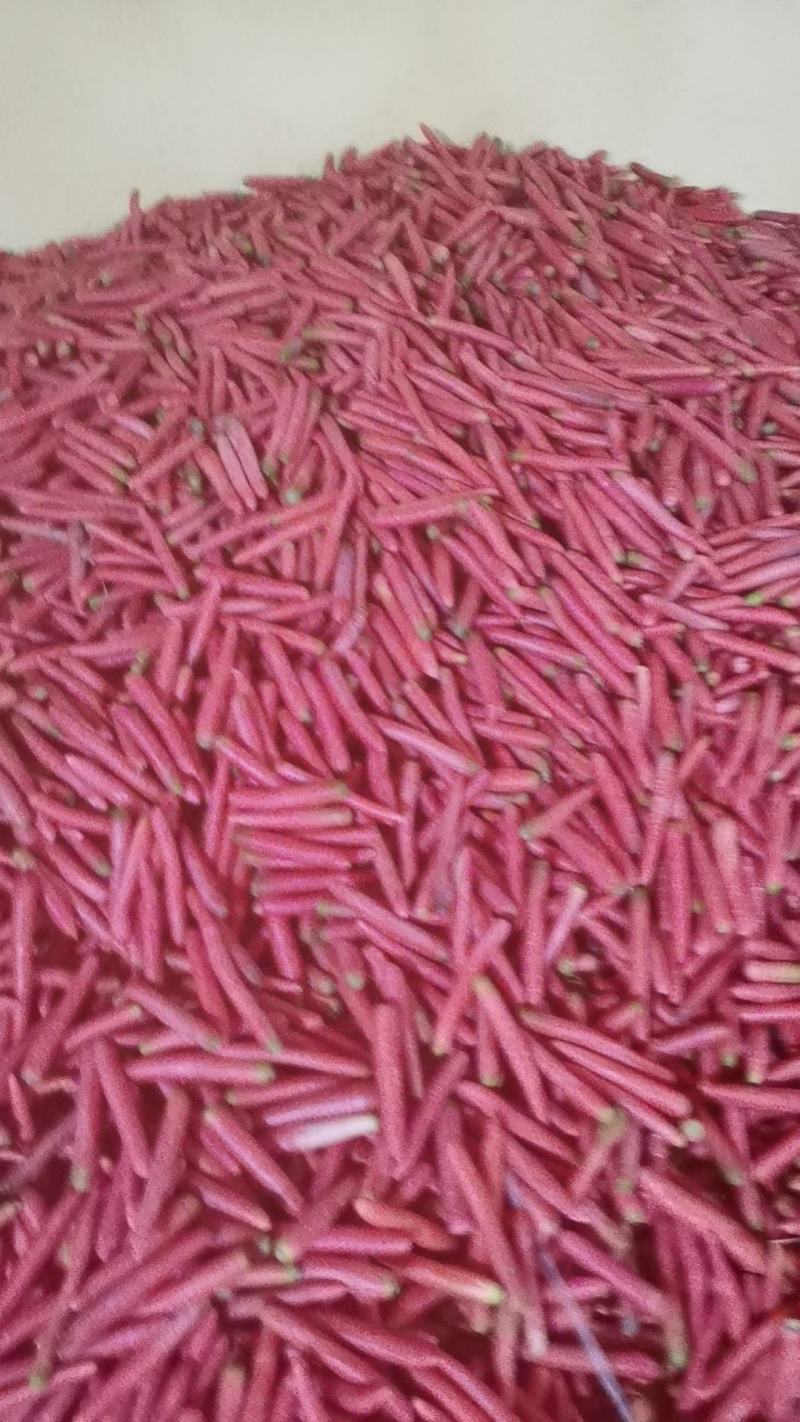 胡萝卜，三红胡萝卜