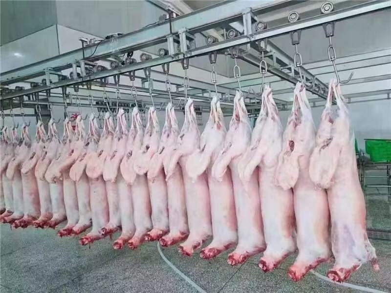 一名工作人员正在对白条羊进行分割操作