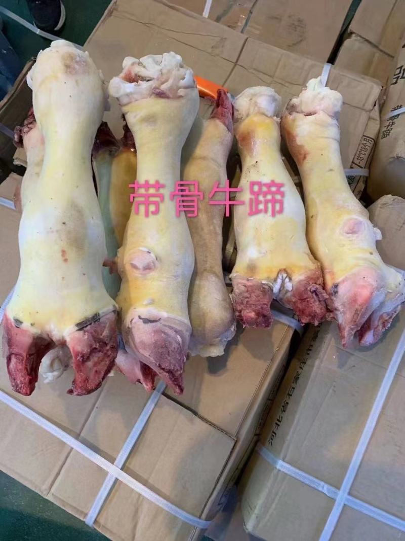 带骨牛蹄批发新鲜冷冻牛蹄子牛蹄脚红烧清炖