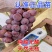 妮娜皇后葡萄苗果粒大甜度高基地直发保湿发货