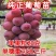 妮娜皇后葡萄苗果粒大甜度高基地直发保湿发货