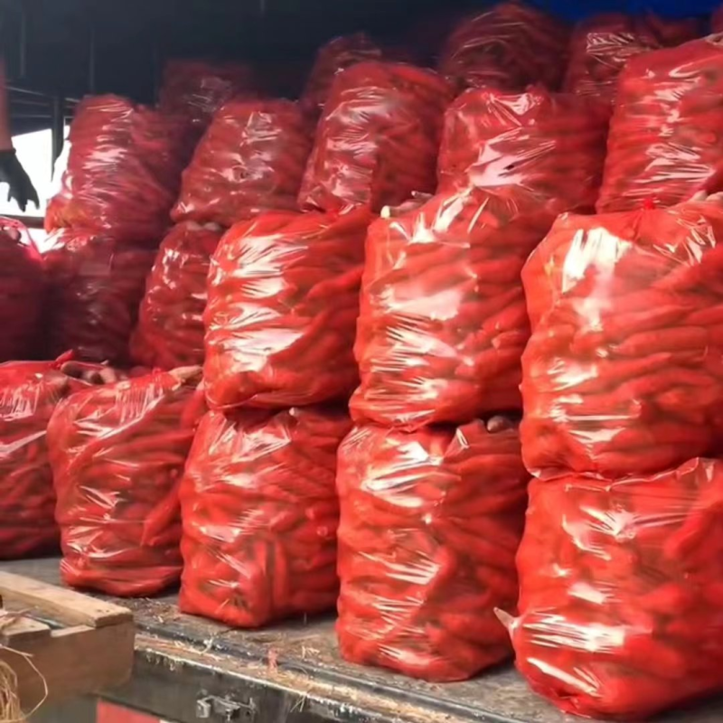 西瓜红红薯大连供应视频看货产地直发整车发货