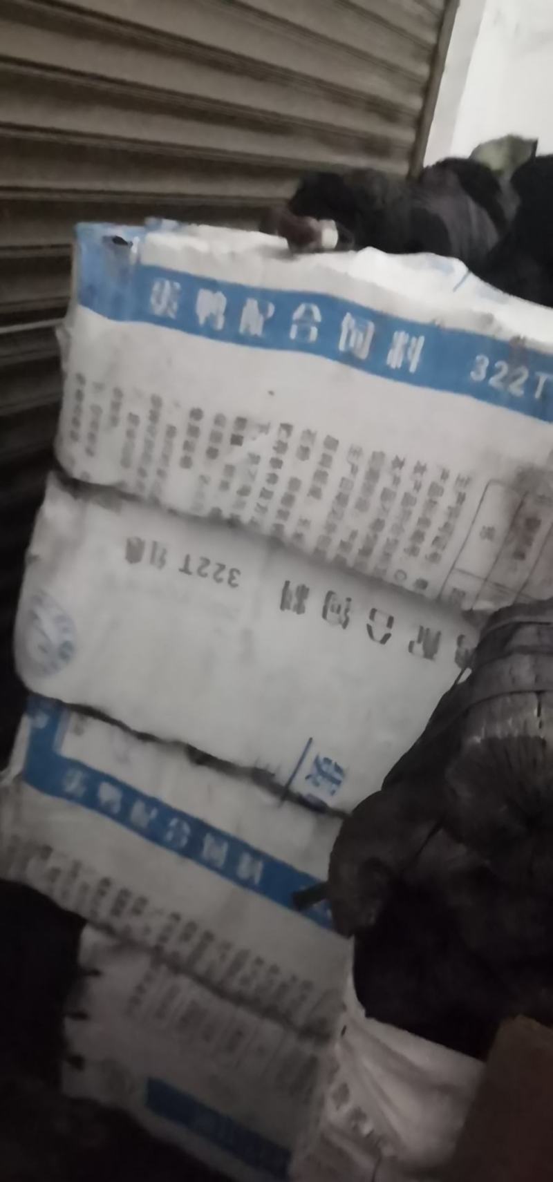 12以下小材，松树，杂木货源充足
