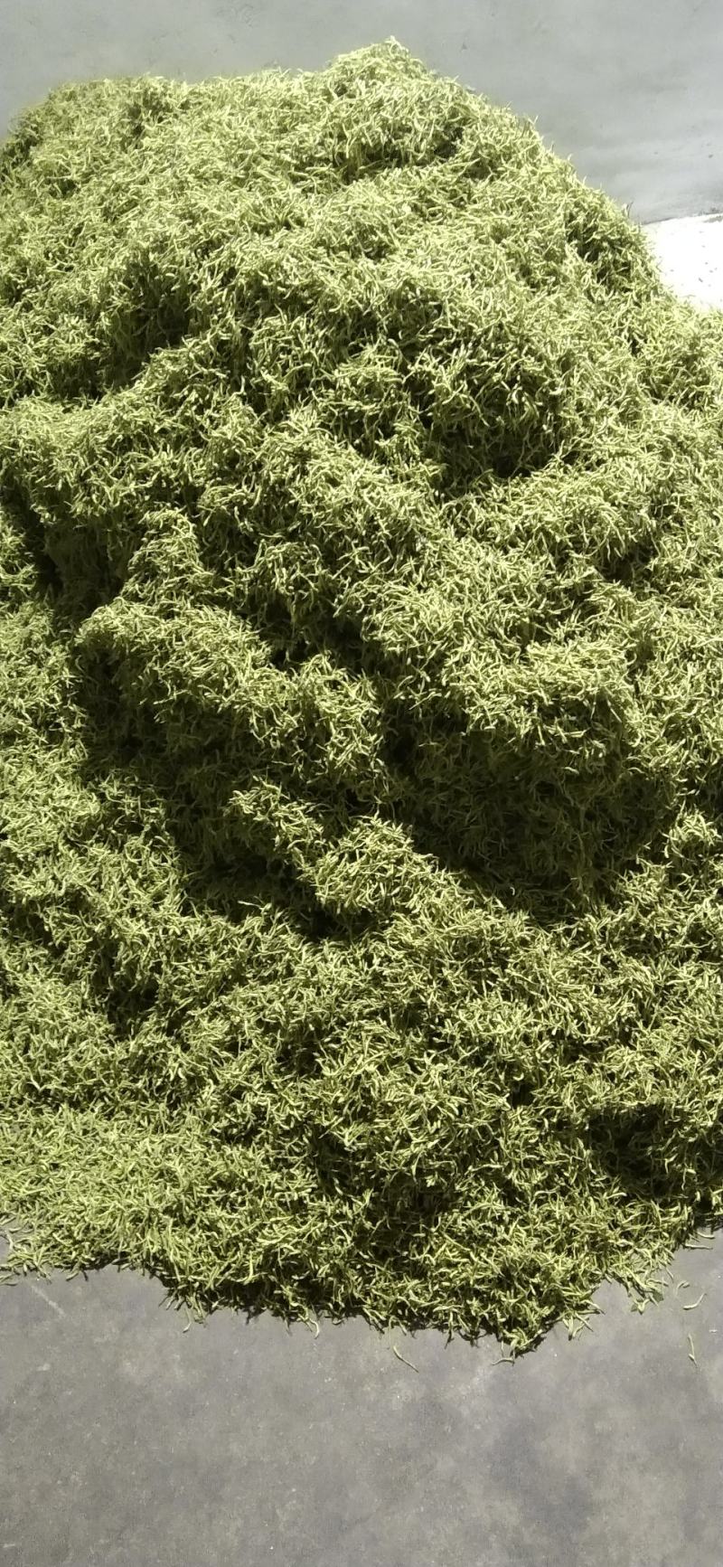 [热卖]河北邢台金银花原产地金银花产地直发