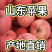 山东苹果纸袋红星红星苹果全红80起步山东红星产地货