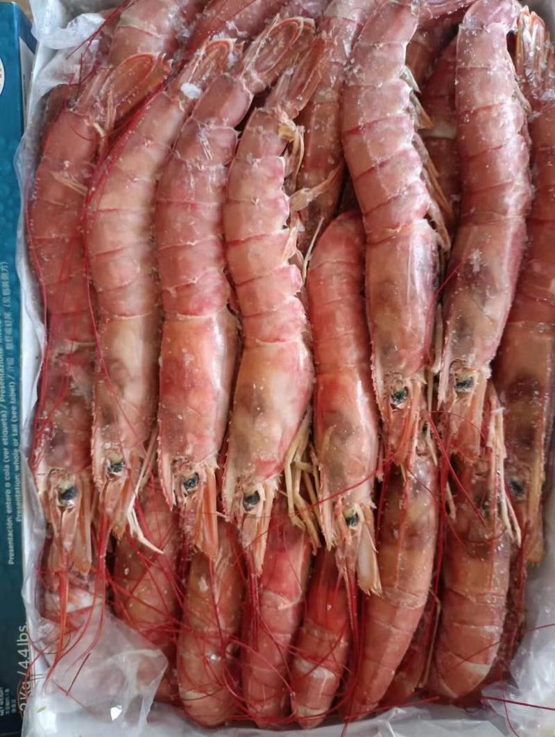 阿根廷红虾L1大红虾2kg进口特大新鲜冷冻海鲜水产船冻