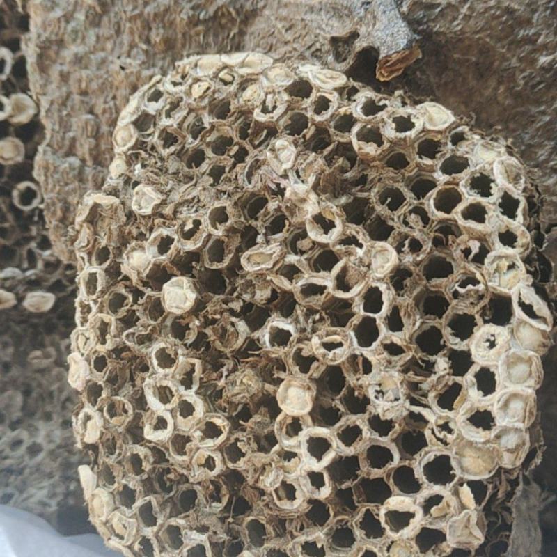 蜂房软蜂房一手货源量大从优欢迎采购下单