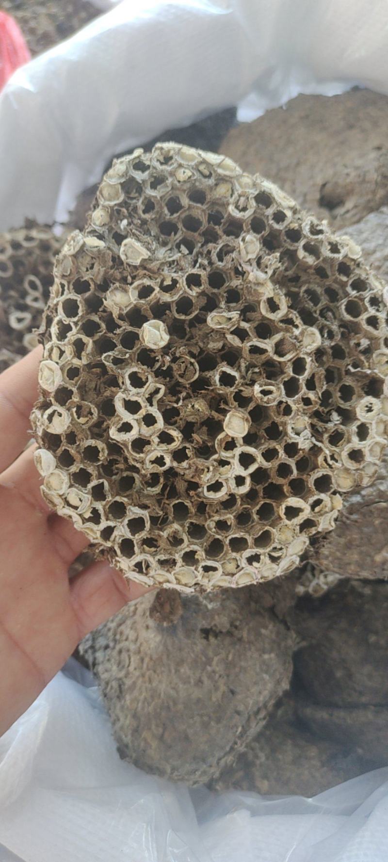 蜂房软蜂房一手货源量大从优欢迎采购下单