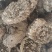 蜂房软蜂房一手货源量大从优欢迎采购下单