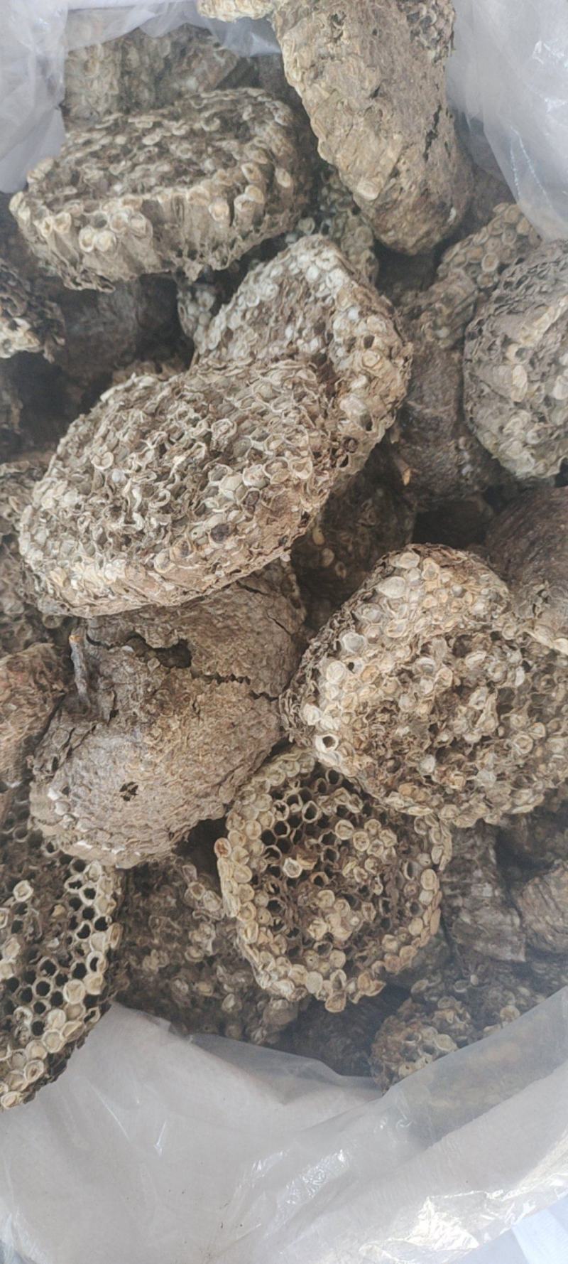 蜂房软蜂房一手货源量大从优欢迎采购下单