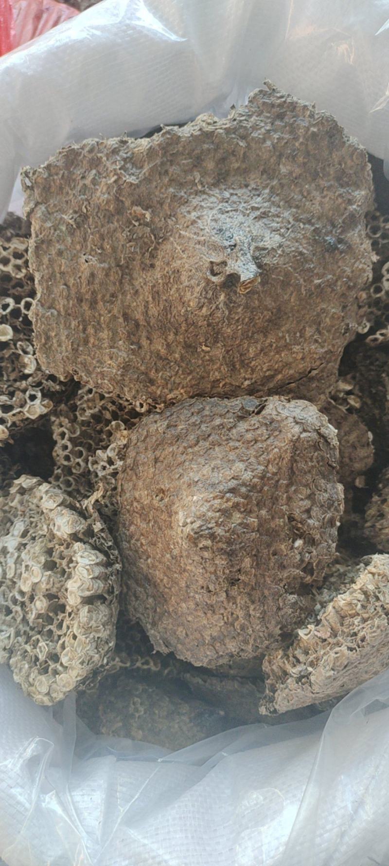 蜂房软蜂房一手货源量大从优欢迎采购下单