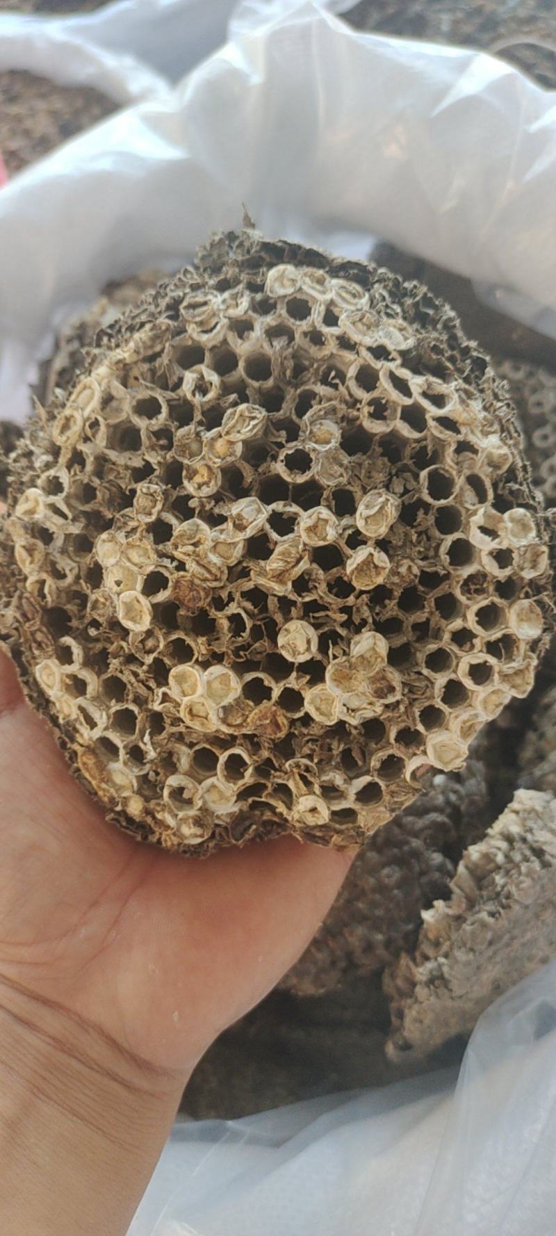 蜂房软蜂房一手货源量大从优欢迎采购下单