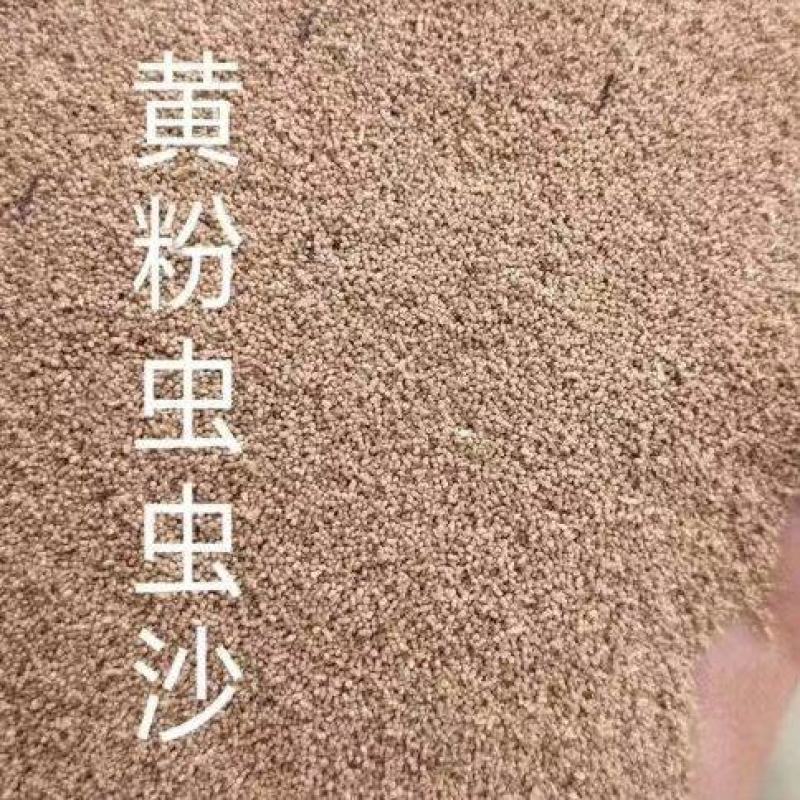 虫沙。蛋白18--20。可做载体填充原料！