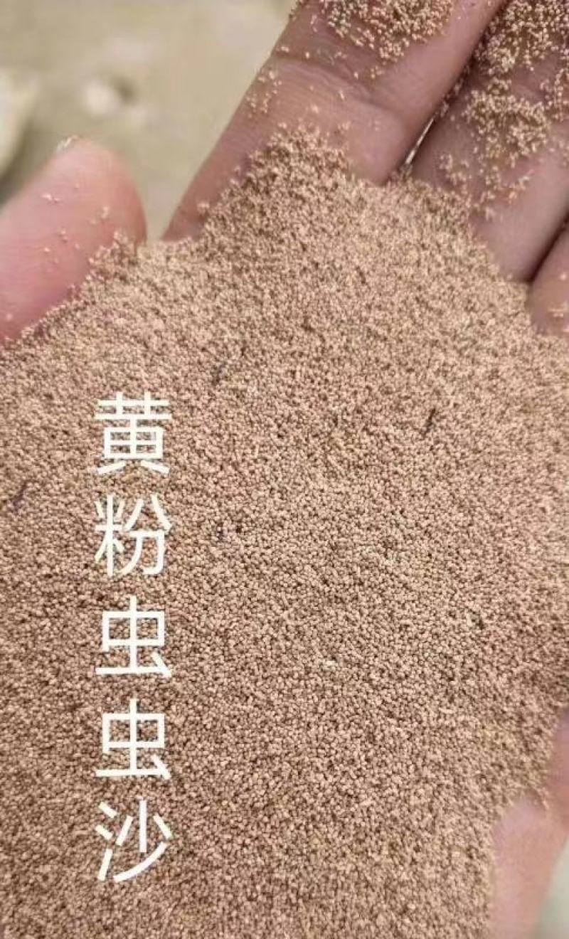 虫沙。蛋白18--20。可做载体填充原料！