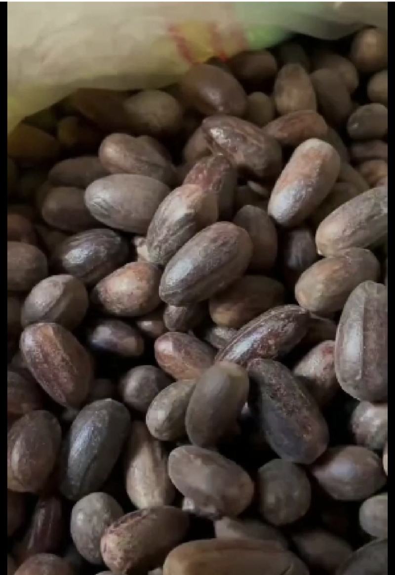 香果，长香果，圆香果，新货无硫，实拍现货