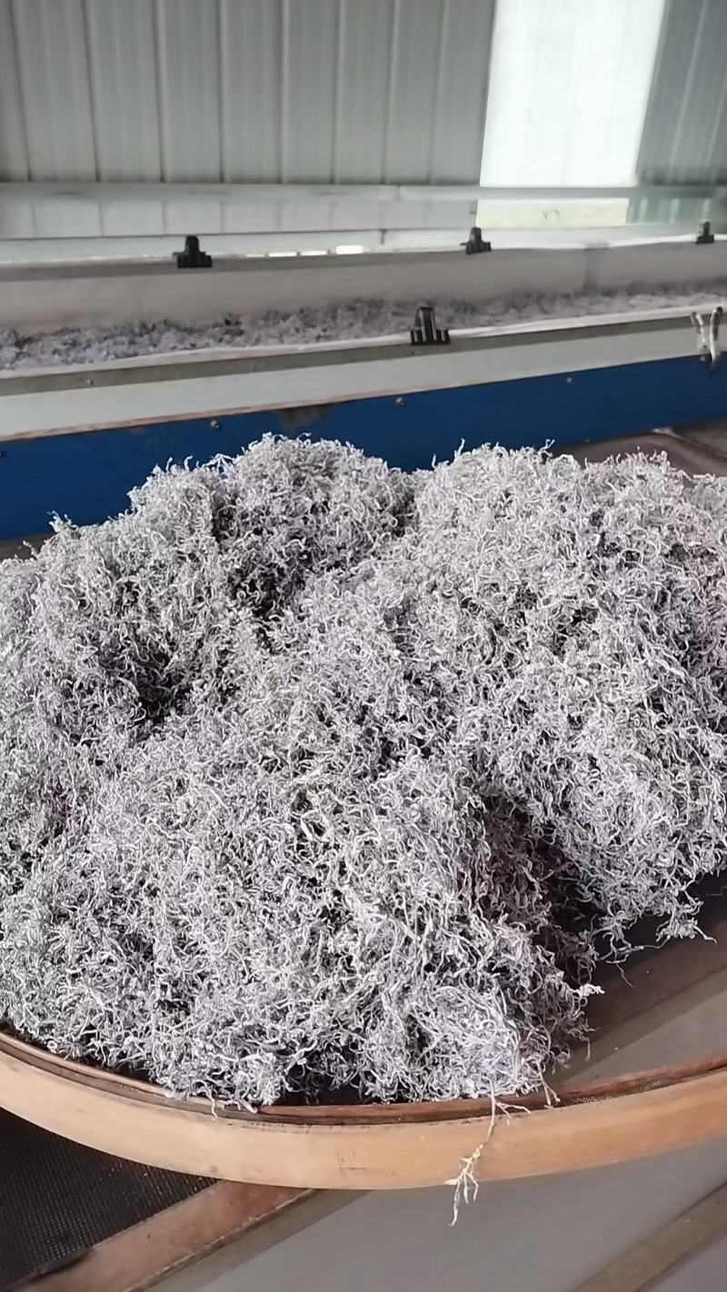 永顺张家界地理标志农产品一莓茶