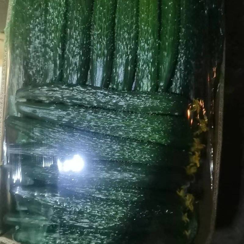 精品黄瓜新品上市大量上市鲜花蜜刺质量保证