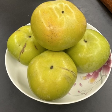 太秋甜柿