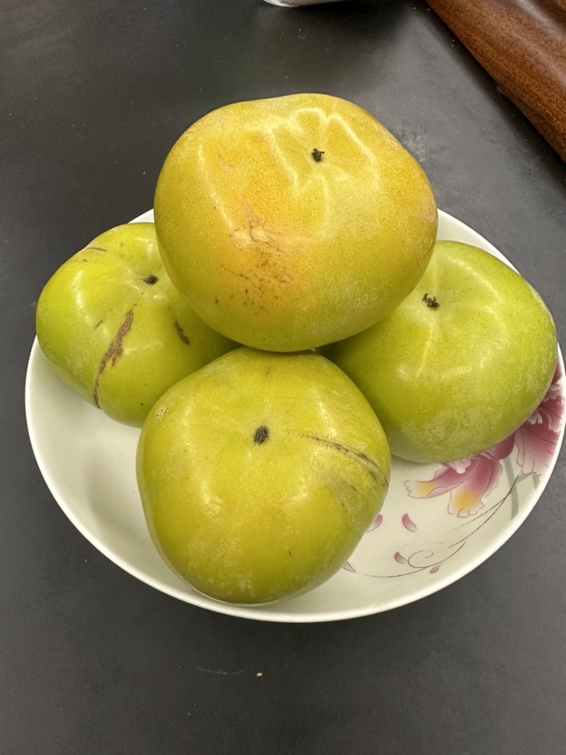 太秋甜柿