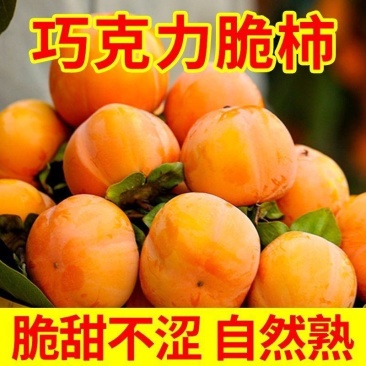 巧克力脆甜柿子对接各大电商社区团购平台一件代发