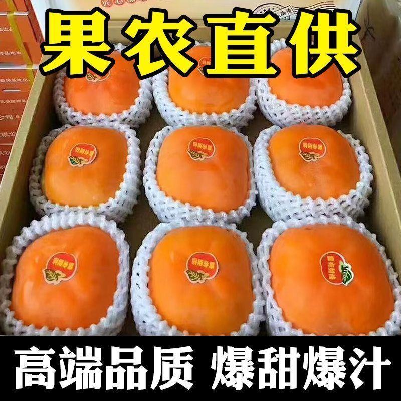 巧克力脆甜柿子对接各大电商社区团购平台一件代发