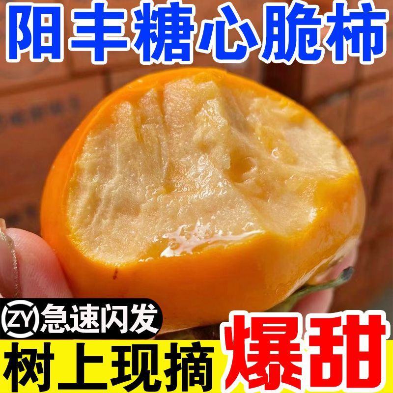 巧克力脆甜柿子对接各大电商社区团购平台一件代发