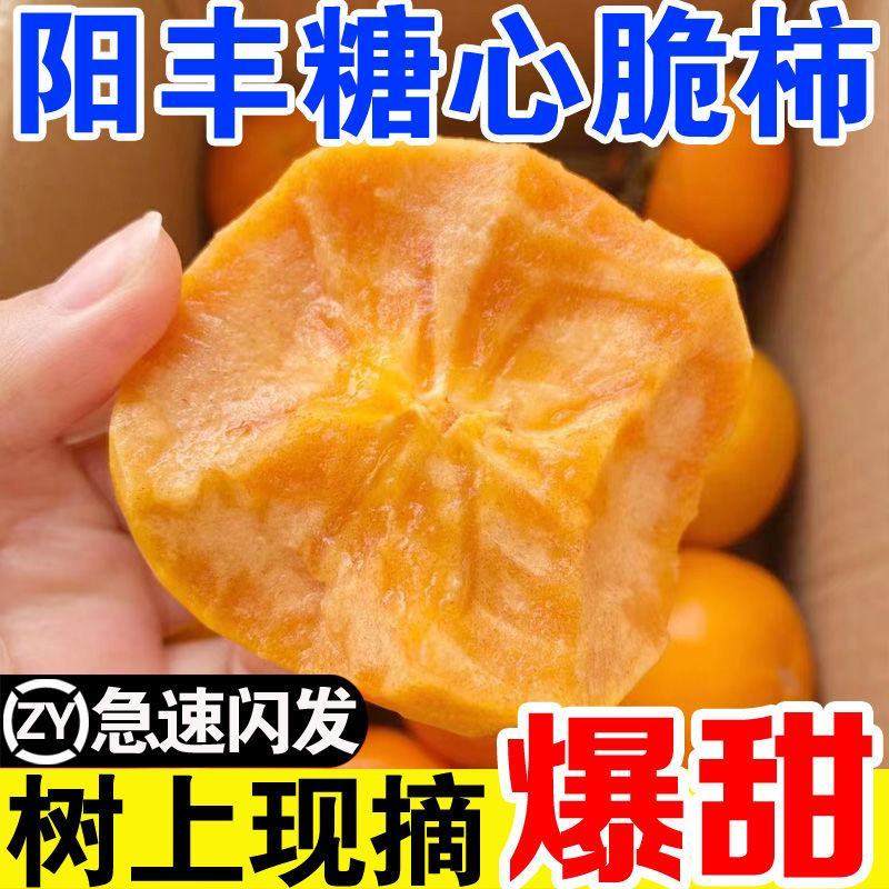 巧克力脆甜柿子对接各大电商社区团购平台一件代发