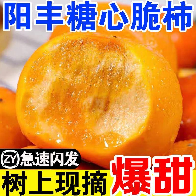 巧克力脆甜柿子对接各大电商社区团购平台一件代发