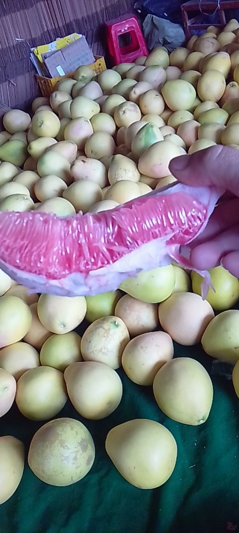 产地直销红肉柚子，超甜，支持一件代发包邮