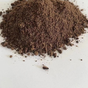 广东优质椰子粕工厂直发货源充足量大从优欢迎电联！