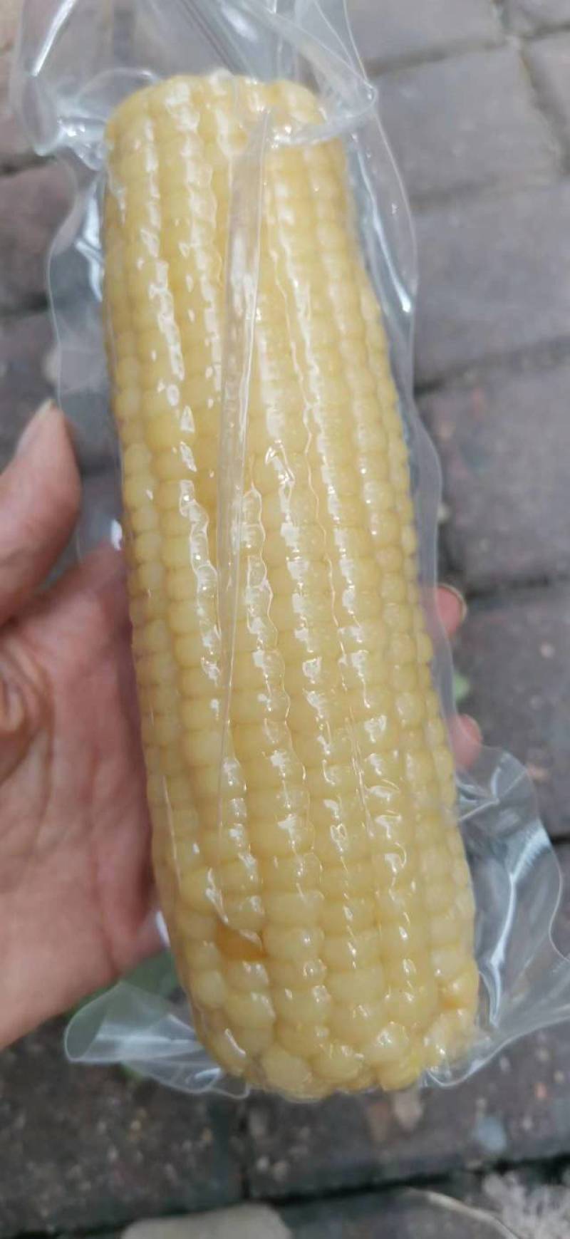 精品糯玉米白糯玉米可供抖音快手各平台一件代发