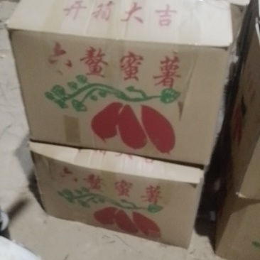 纯沙土地西瓜红又甜又面条形好颜色好价格美丽