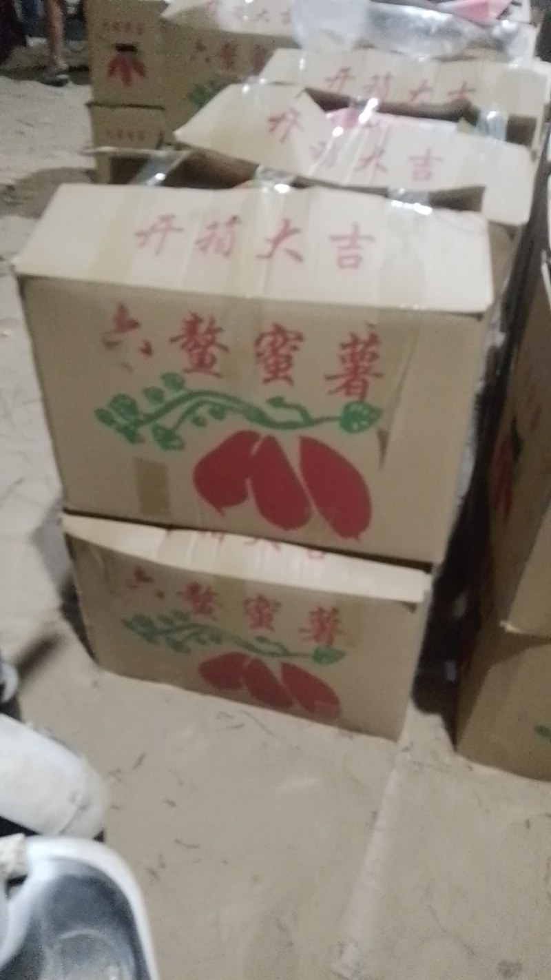 纯沙土地西瓜红又甜又面条形好颜色好价格美丽