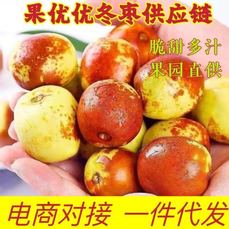 大荔冬枣陕西鲜枣一件代发抖音快手视频号多多团购