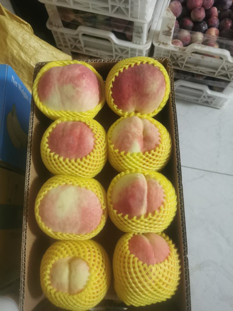 水蜜桃10斤礼盒装
