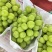 阳光玫瑰一级果