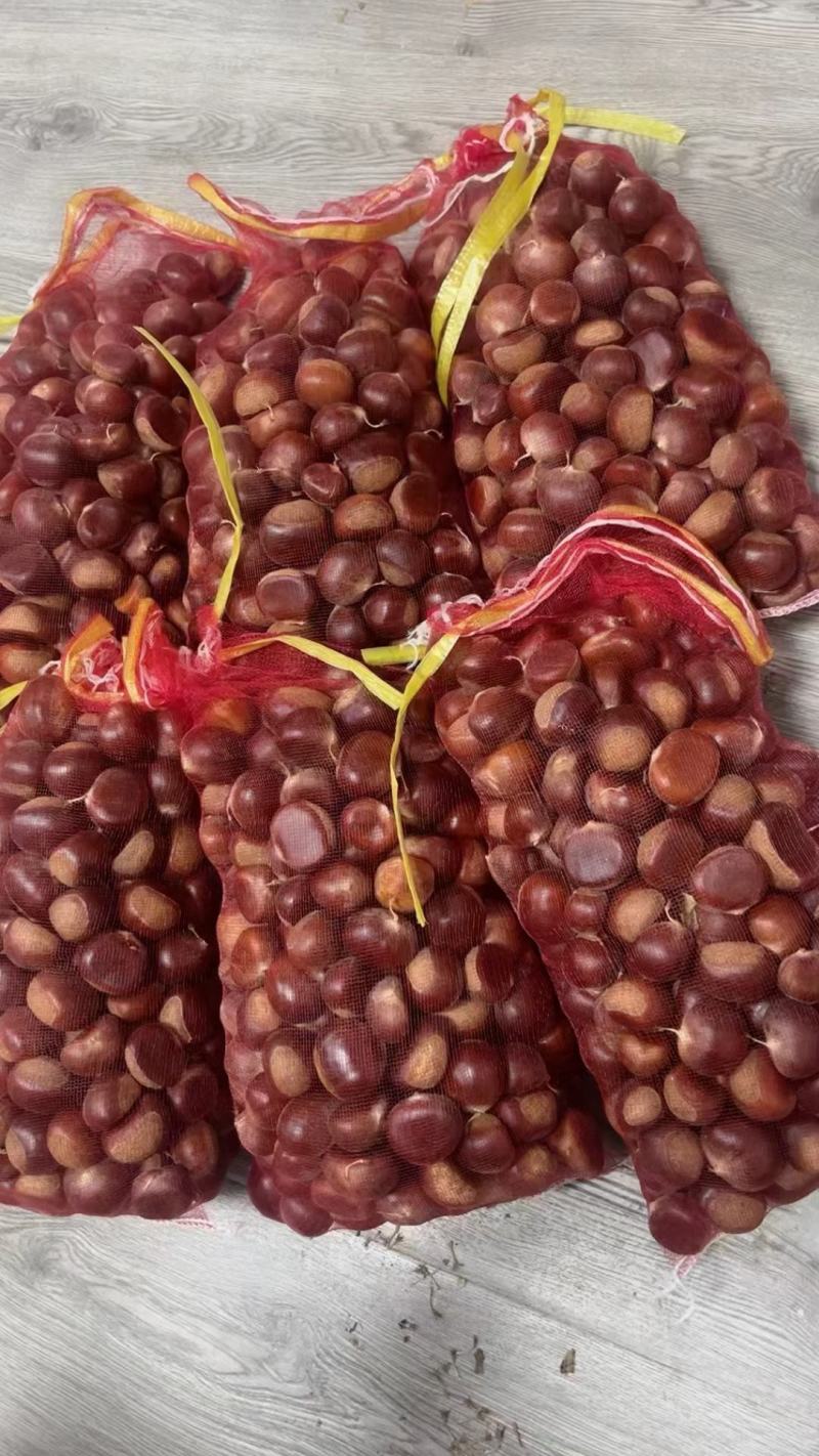 板栗菜板栗栗子