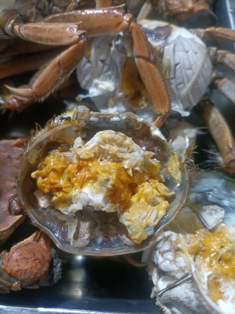 这里是河北唐山丰南区螃蟹上市了，需要的联系