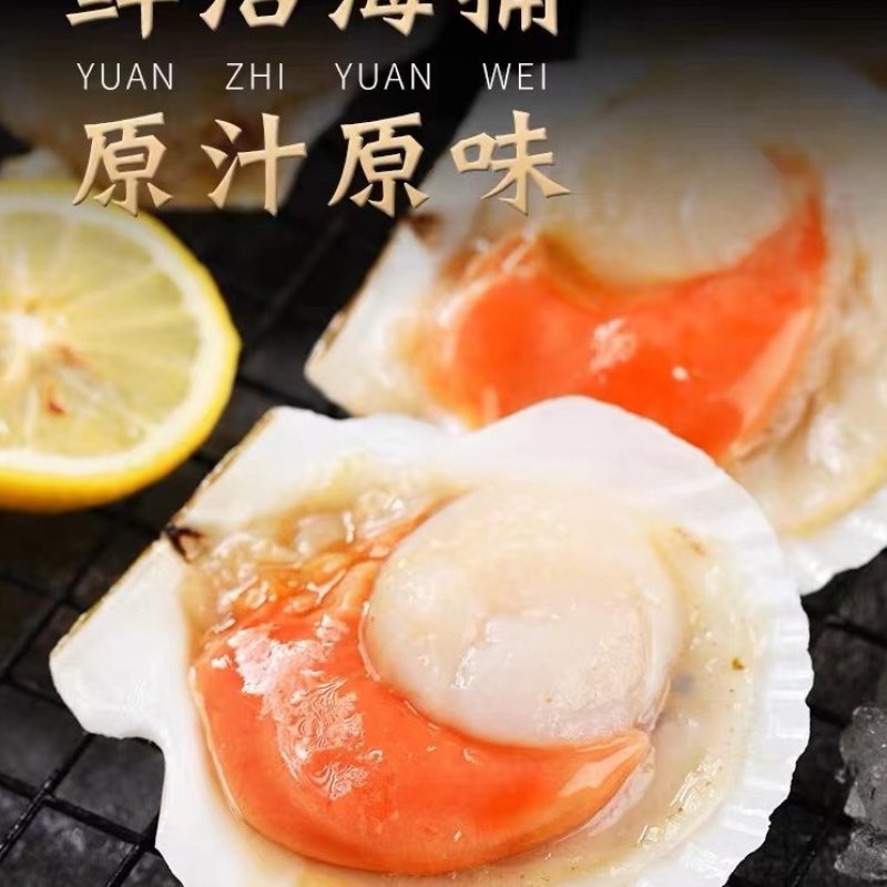 原汁贝，20斤！