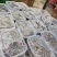 福建南靖本地红霞鲜品整株现采摘一盒250克装金线莲鲜品