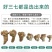 文山三七产地批发20头30头40头各规格齐全产地最新价格