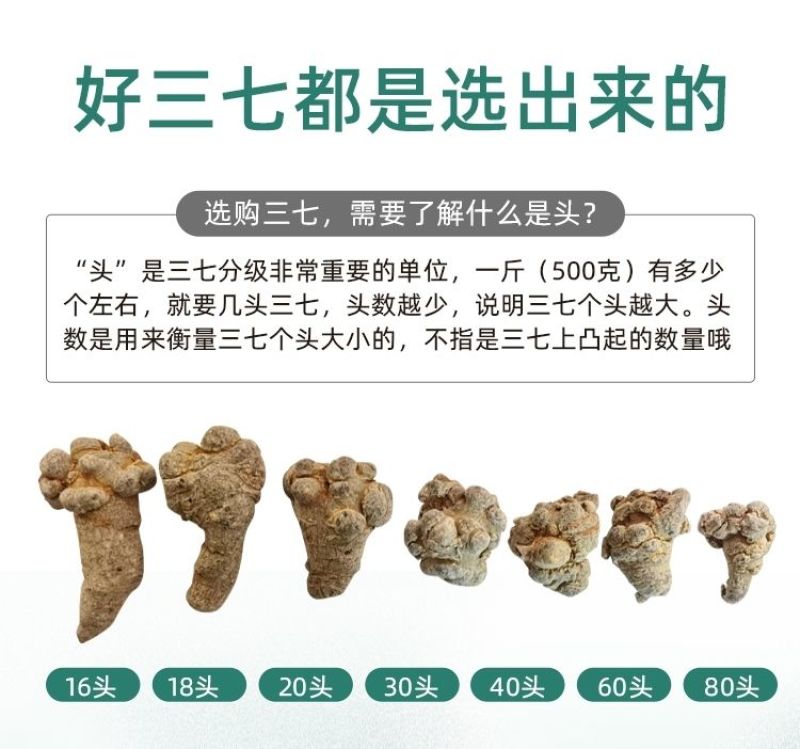 文山三七产地批发20头30头40头各规格齐全产地最新价格