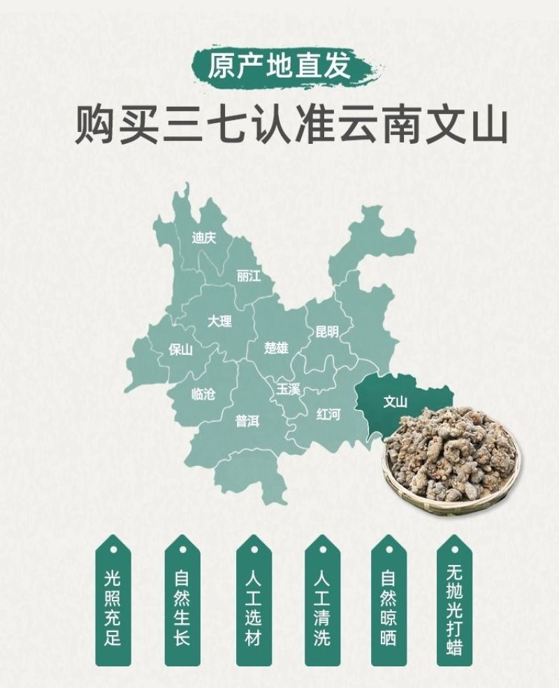 文山三七产地批发20头30头40头各规格齐全产地最新价格