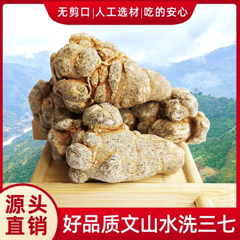 文山三七产地批发20头30头40头各规格齐全产地最新价格